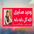 عکس آهنگ مست افغانی - گل دانه دانه - آهنگ محلی جدید