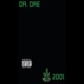 عکس Dr. Dre - The Next Episode (Dirty Audio Version)