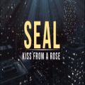 عکس (Seal - Kiss From a Rose (Lyrics