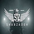 عکس موزیک ویدیو سلبریتی دوزاری از شبزده SHABZADEH