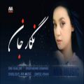 عکس موزیک افغانی نگار جان - موسیقی شاد افغانی - آهنگ هزارگی ۲۰۲۲