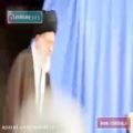 عکس آهنگ حامد همایون هیهات