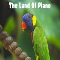 عکس صداها و موسیقی پیانو آرامش بخش پرندگان در طبیعت