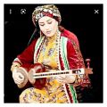 عکس موسیقی نوازنده شاخص تار فاطمه بهاروند
