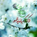 عکس اغازامامت حضرت مهدی|تبریک امامت امام زمان|ولایت امام زمان|امامت امام زمان|6