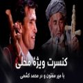 عکس کنسرت میرمفتون - آهنگ شاد میرمفتون محمد کشمی