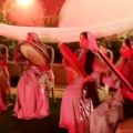 عکس اجرای موسیقی سنتی ۹۷ ۶۷ ۰۰۴ ۰۹۱۲ گروه موسیقی زنده