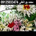 عکس مداح بهشت زهرا 09125033474