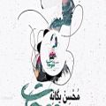عکس موزیک بسیار زیبا از محسن یگانه به نام موهات