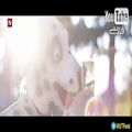 عکس موزیک ویدیو روباه ساخت دوبرادر نروژی