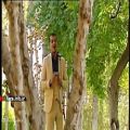 عکس اجرای ترانه صل علی احمد توسط آقای فرهاد قائدی - شیراز