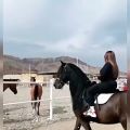 عکس اسب سواری زیبا دختر عرب