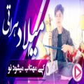 عکس میلاد هراتی مست افغانی - آواز خوان میلاد هراتی