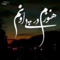 عکس کلیپ نوشته دار|کلیپ نوشته اهنگ دار|احساسی جدید|غمگین|غمگین باکلاس|کلیپ زیبا|2