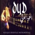 عکس موسیقی عود عربی | ساز عود خاورمیانه | موسیقی بیکلام