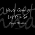 عکس sergio mendes - never gonna let you go