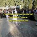 عکس صدای دهل وساز سیستانی در باغ جنت شیراز با رقص سیستانی