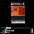 عکس خرید وی اس تی دوبرو Dream Audio Tools Indie Dobro