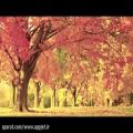 عکس موزیک پیانو و ویالون به همراه طبیعت پاییز