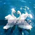عکس آهنگ عربی- یا سلام - نانسی عجرم- with farsi translation