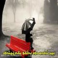 عکس اهنگ جدید محسن چاوشی بید بی مجنون ٢٠١٥