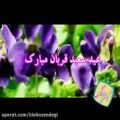 عکس عید سعید قربان مبارک _ کیش و زندگی