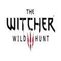 عکس موسیقی متن پایانی بازی The witcher 3 wild hunt