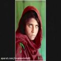 عکس درد و دل یک افغان مقیم ایران