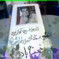 عکس جشن خودجوش بزرگداشت استاد در شیراز توسط هواداران