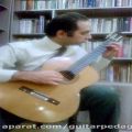 عکس اتود شماره 16 لئو براور - گیتار کلاسیک با چاشنی گربه