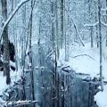 عکس برف نو