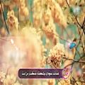 عکس آهنگ عربی زیبا فوق العاده