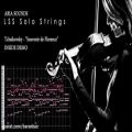 عکس معرفی وی اس تی ویولن Aria Sounds LSS Solo Strings
