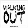 عکس Marshmello - Walking Out