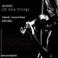 عکس دانلود وی اس تی ویولن سولو LSS Solo Strings Solo Violin