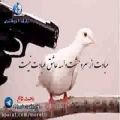 عکس ویدیو از محمد اصفهانی که جنجال به پا کرد و باعث ممنوع