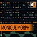 عکس بررسی سینتی سایزر Monoplugs Monique