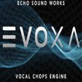 عکس خرید وی اس تی وکال Echo Sound Works Evoxa