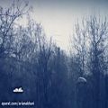 عکس چشم شب روشن / میلاد درخشانی - برف