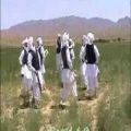 عکس آفر - رقص محلی: Persian folkdance of Khorasan, Khaf