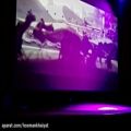 عکس اجرای زنده ترانه زوتوپیا توسط پویان پوینده