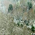 عکس ویدئو کلیپ زیبای برف - بابک جهانبخش