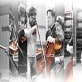 عکس وی اس تی Orchestral Tools Berlin Strings EXP D First Ch