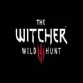 عکس موسیقی متن شنیدنی بازی The Witcher 3 Wild Hunt