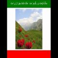 عکس سرود ای ایران ای مرز پر گهر