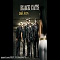 عکس Black Cats [2016] - Dafi Joon (دافی جون)