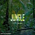 عکس Parabellum Beats - Jungle (Instrumental)