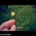 عکس أهنگ عربی بسیار زیبا