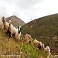 عکس ویدیو / طبیعت زیبای روستای خمس