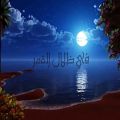 عکس آهنگ عربی(نشید) بسیار زیبای مع الله محمد العزاوی